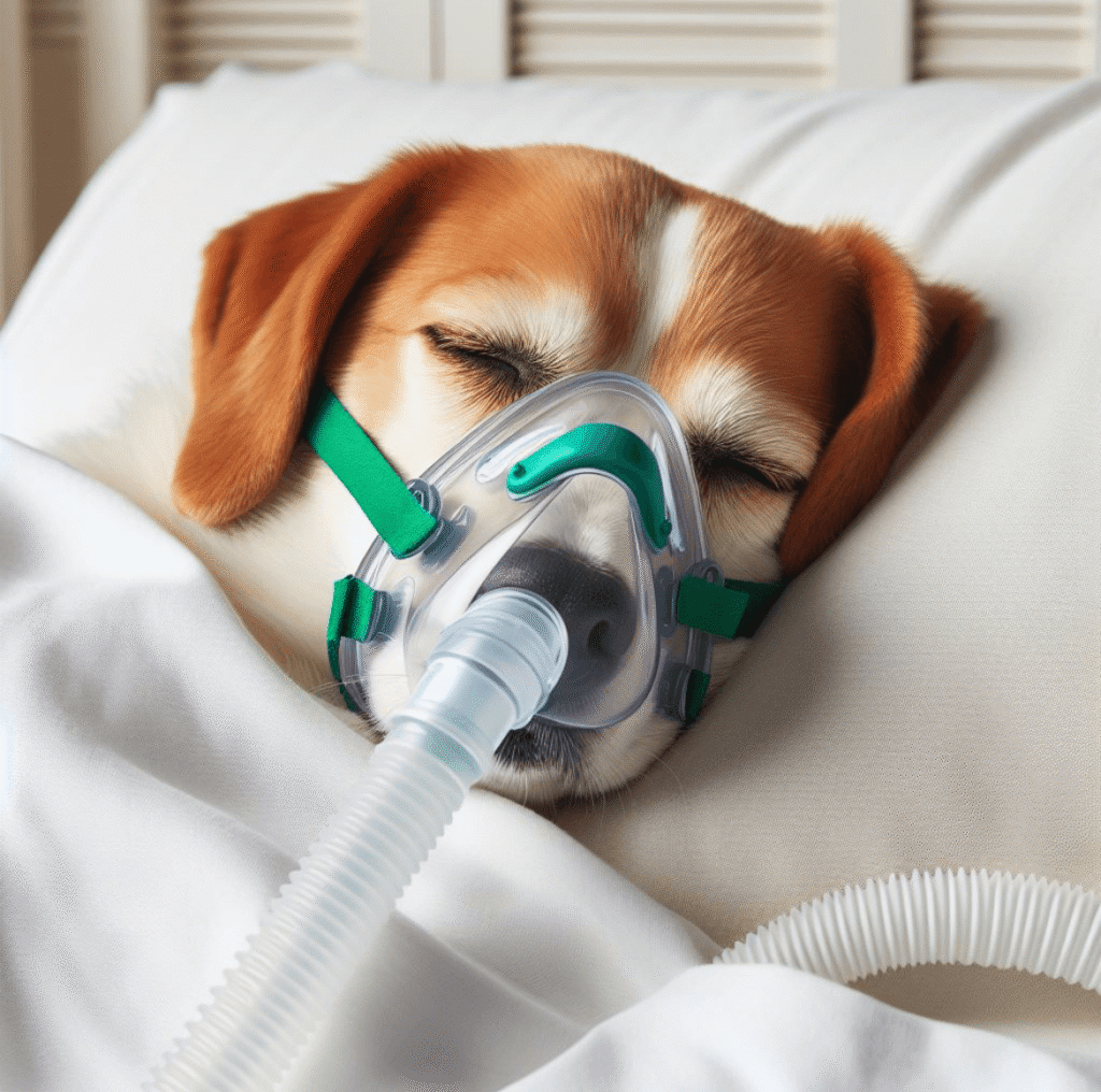 CPAP store near me